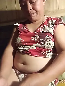 Ip34 webcam