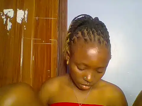 Chocolate-brownie webcam