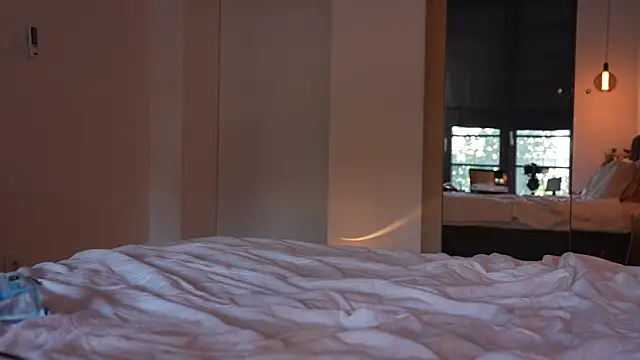 ibiddi webcam