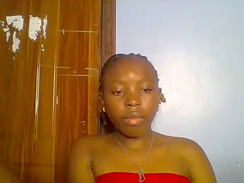 Chocolate-brownie webcam