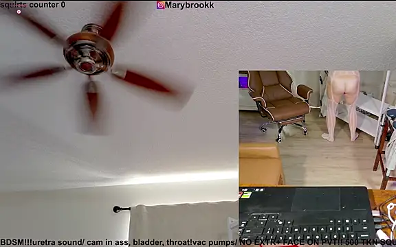 MaryBrook1 webcam