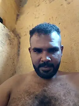 Lion_meis webcam