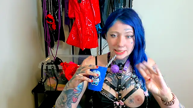 coyemoo webcam
