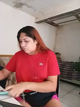 TransBollat webcam