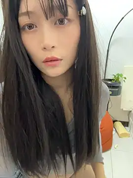 wt0314 webcam