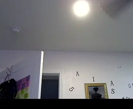 TheRealMrDLlong webcam