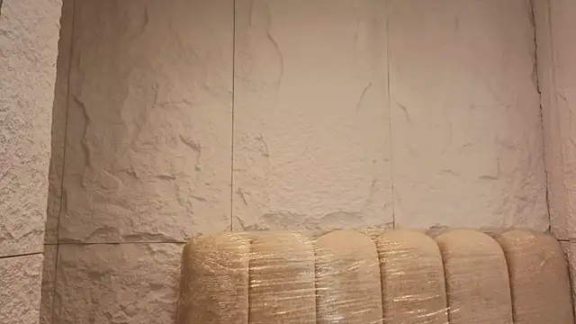 tatiscelis_tf webcam