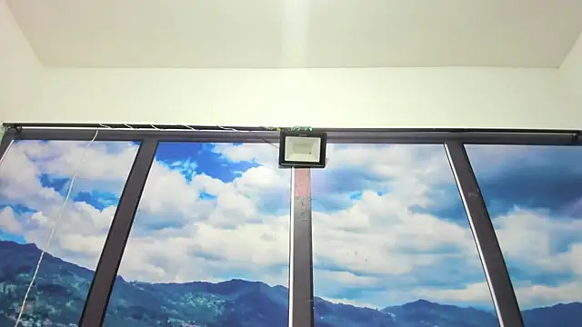 DilanAndKing webcam