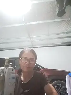 Vieekee webcam