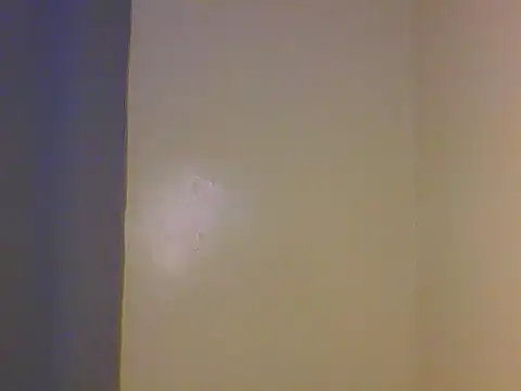 _Shantel1 webcam