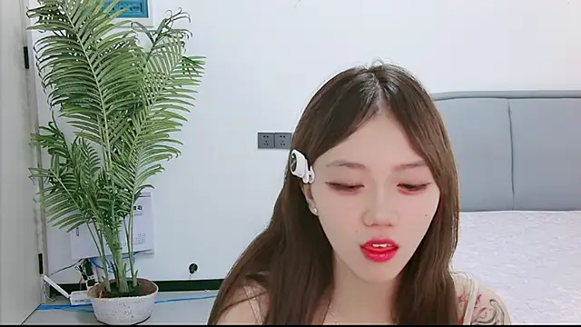 YY-3344 webcam