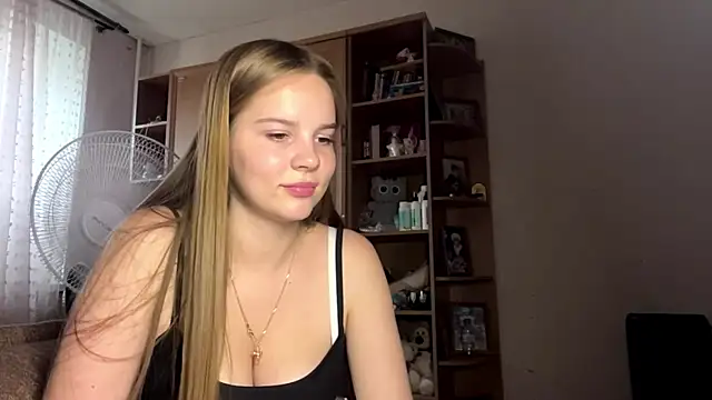 Peekinside webcam