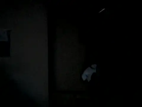 naodanuki webcam