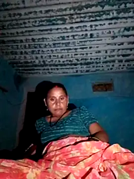 Salnihote webcam