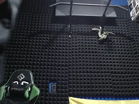 Gymbro42 webcam