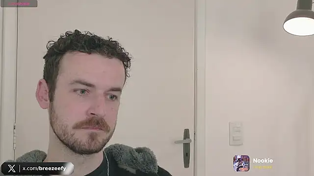 Breezee_ webcam