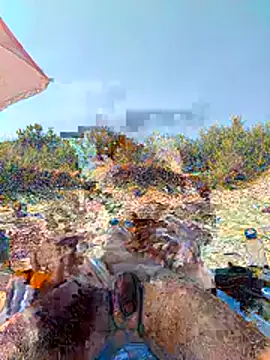 Alley87 webcam