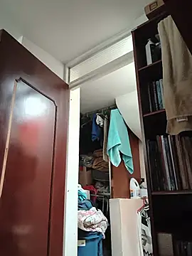 Exlifer webcam