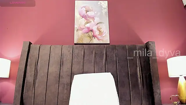 _MiLa_Dyva webcam