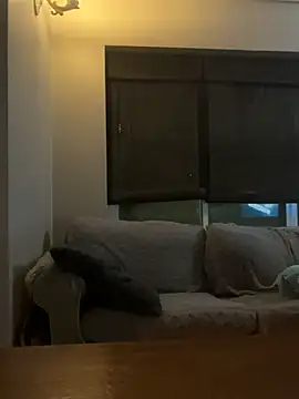 LINDA_HD webcam