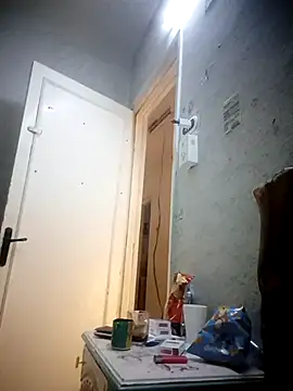 msmsg webcam