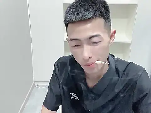 zn999 webcam