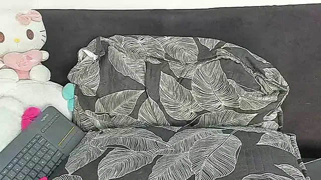 Eirlysx webcam