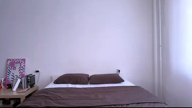 Milky___Way webcam