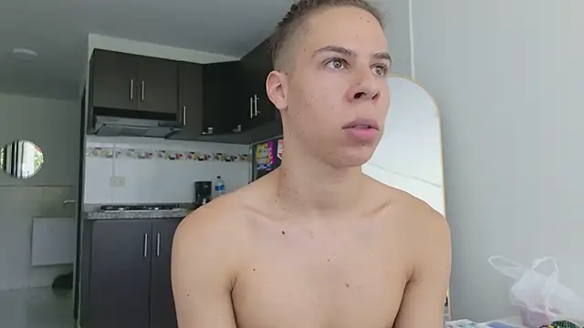 grey___27 webcam