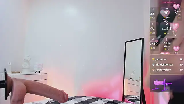 HoneyLace_ webcam