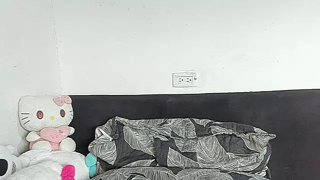 Eirlysx webcam