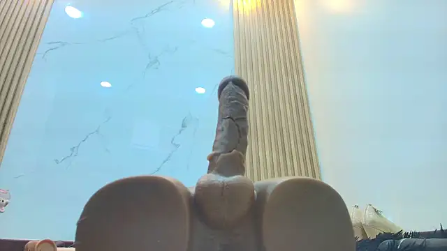 CharlotteSchmidtt webcam