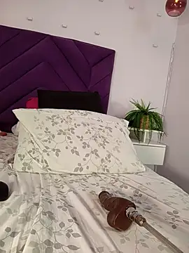 haileystone webcam