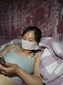 Hiha-nn webcam