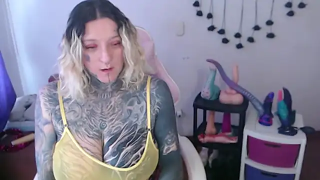 SLOPPYTITSS webcam