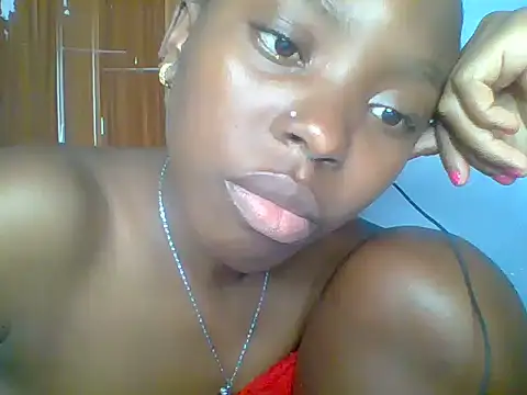 Chocolate-brownie webcam