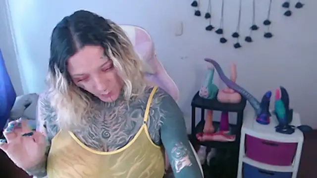 SLOPPYTITSS webcam