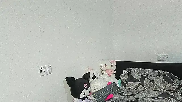 Eirlysx webcam