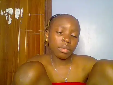 Chocolate-brownie webcam