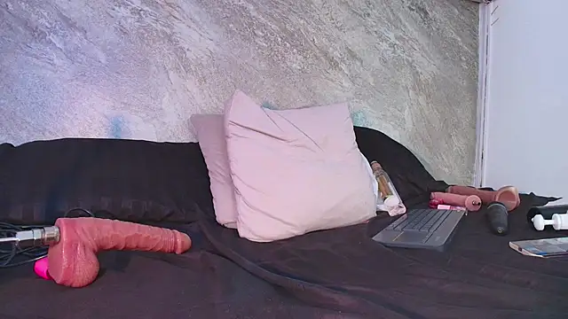 Dixie_grey1 webcam