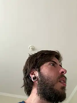 fire-vex webcam
