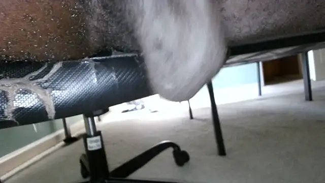 dabestdad (Ask my age) - Daddy Cumshow