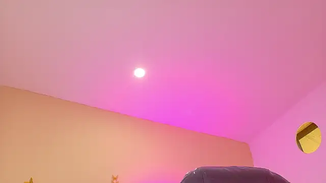 Nascary_Fox webcam