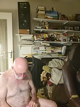 briochin webcam