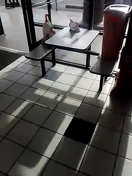 hornyrich69 webcam