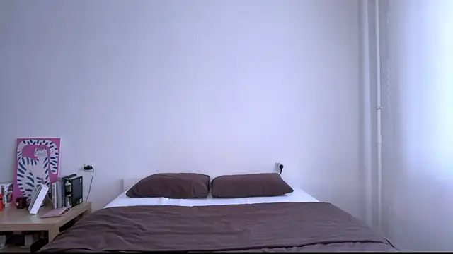 Milky___Way webcam