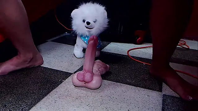 Hannamariana webcam