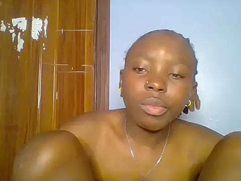 Chocolate-brownie webcam
