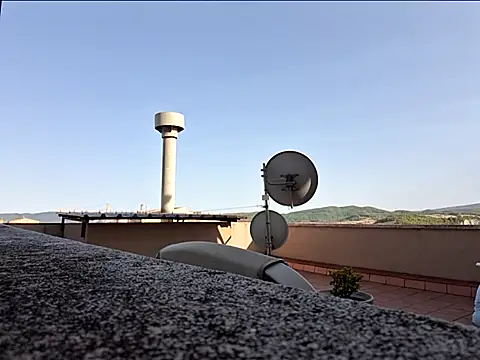 Josepigual007 webcam