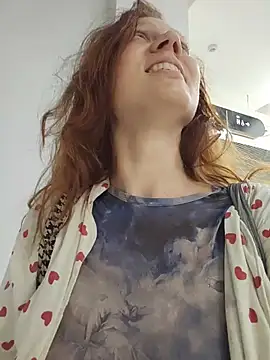 Exhibitionsplit webcam